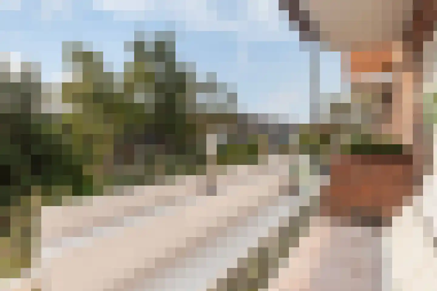Delftseveerweg 13 B Vlaardingen thumbnail 9
