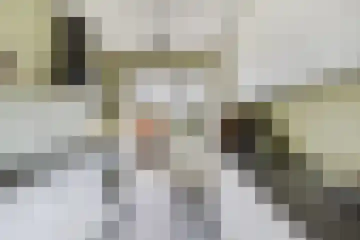 Delftseveerweg 17 C Vlaardingen thumbnail 15