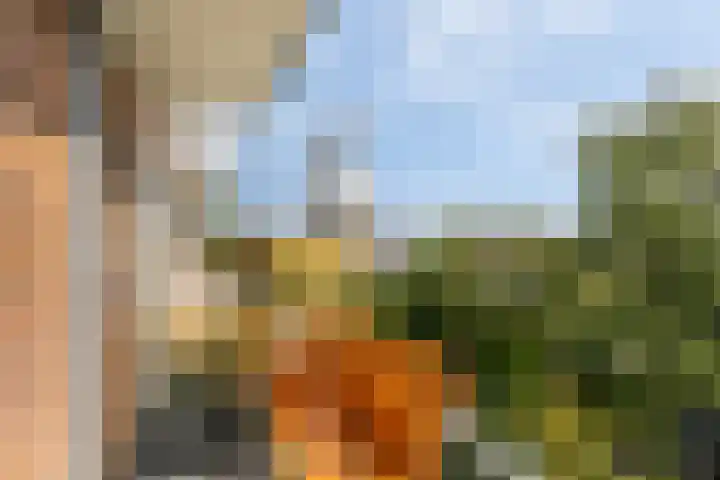Delftseveerweg 17 C Vlaardingen thumbnail 18