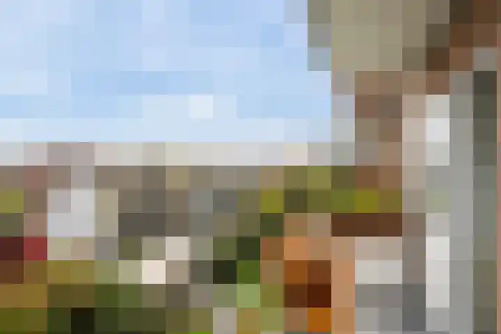 Delftseveerweg 17 C Vlaardingen thumbnail 19