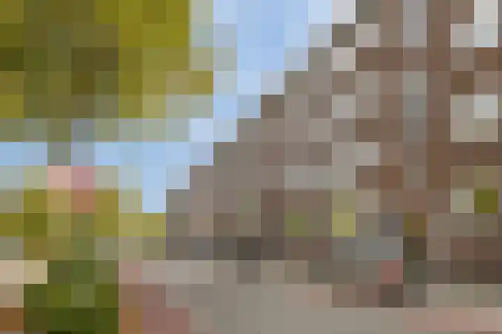 Delftseveerweg 17 C Vlaardingen thumbnail 5