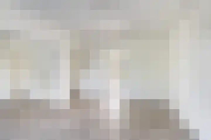 Delftseveerweg 23 B Vlaardingen thumbnail 10