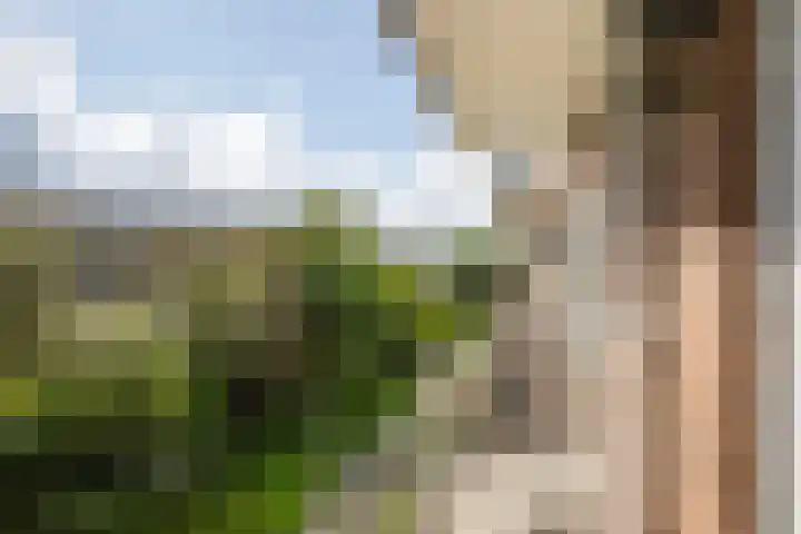 Delftseveerweg 23 B Vlaardingen thumbnail 16