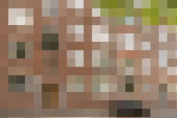 Delftseveerweg 23 B Vlaardingen thumbnail 24