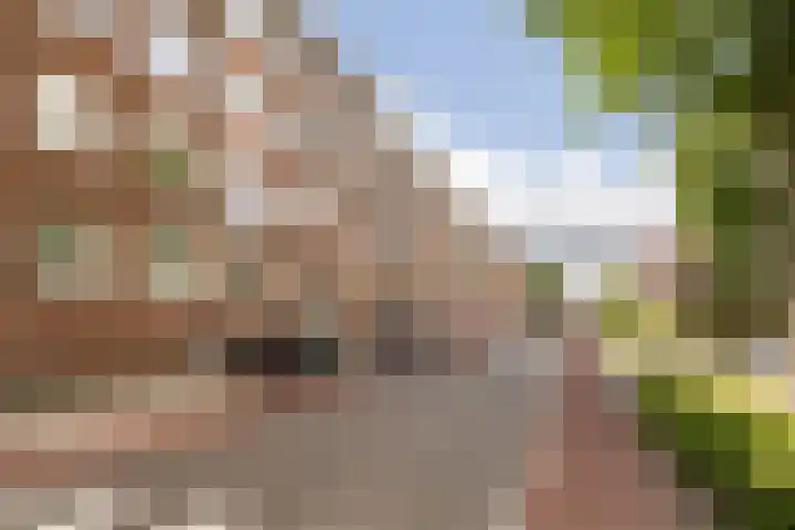 Delftseveerweg 23 B Vlaardingen thumbnail 25