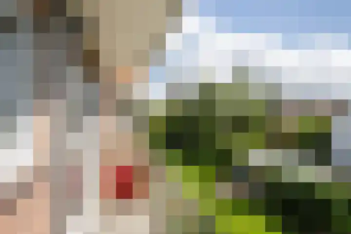 Delftseveerweg 23 B Vlaardingen thumbnail 4