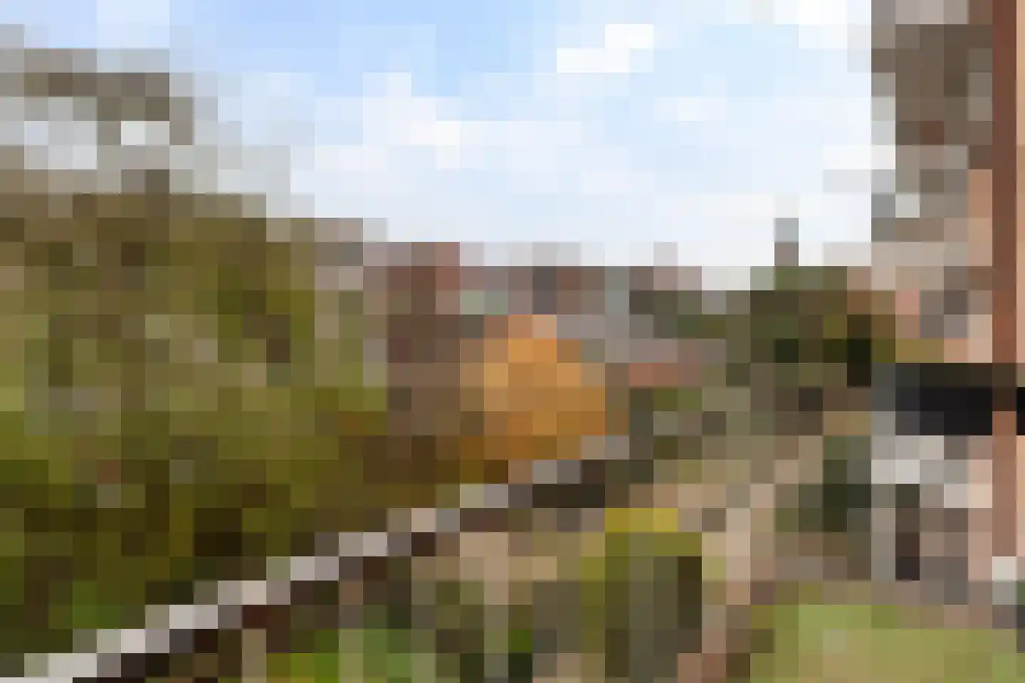 Delftseveerweg 27 B Vlaardingen thumbnail 12