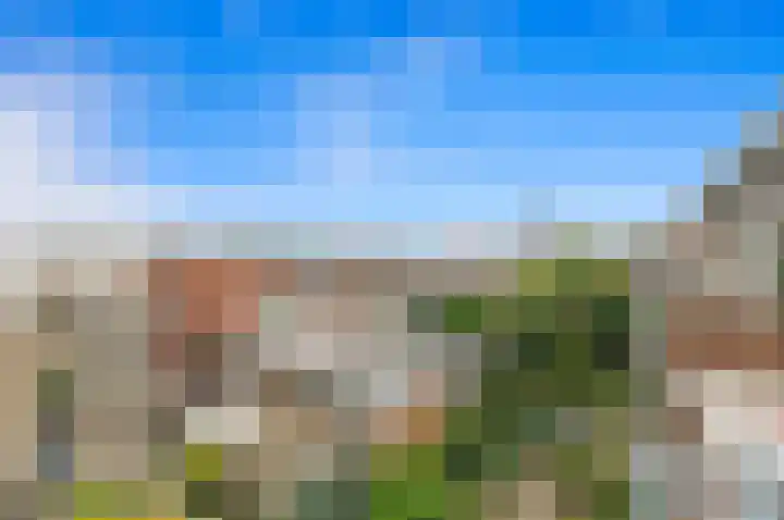 Delftseveerweg 29 D Vlaardingen thumbnail 22