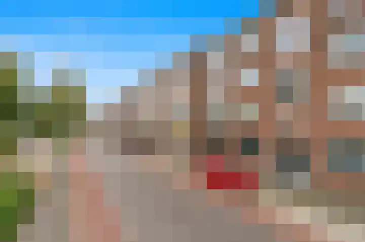 Delftseveerweg 29 D Vlaardingen thumbnail 23