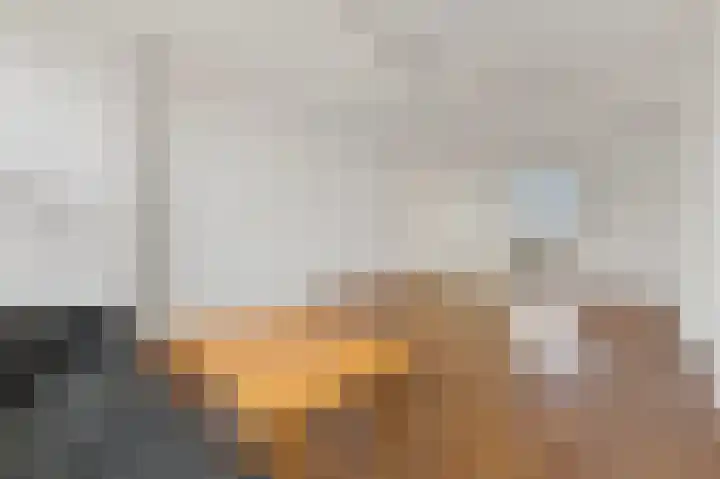 Delftseveerweg 29 D Vlaardingen thumbnail 8