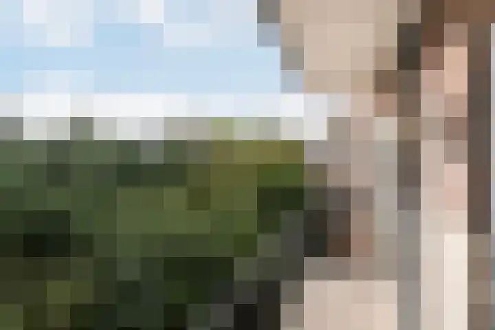 Delftseveerweg 39 C Vlaardingen thumbnail 12