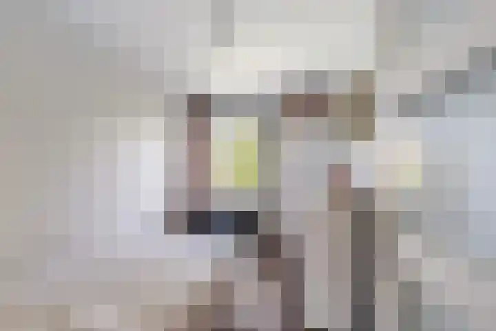 Delftseveerweg 45 C Vlaardingen thumbnail 13