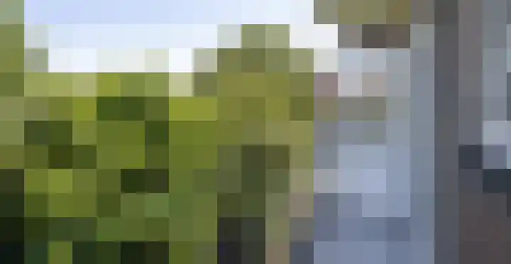 Delftseveerweg 45 C Vlaardingen thumbnail 16