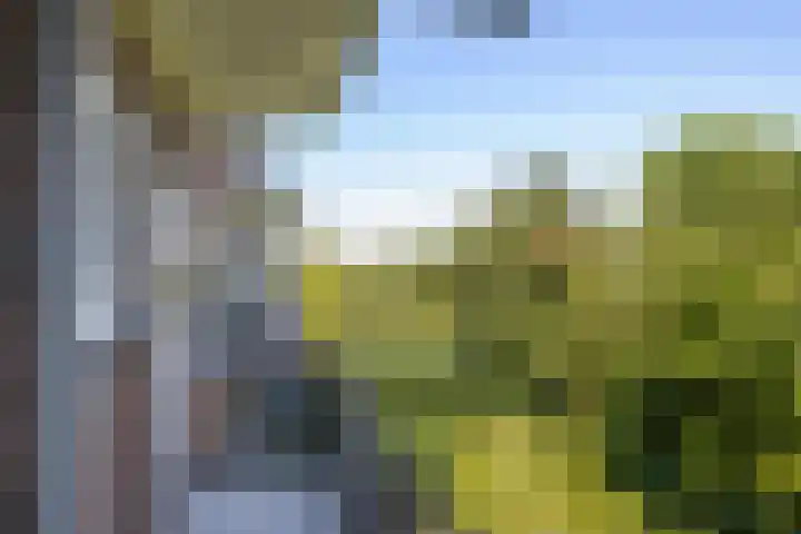 Delftseveerweg 45 C Vlaardingen thumbnail 17
