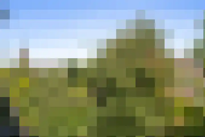 Delftseveerweg 45 C Vlaardingen thumbnail 18
