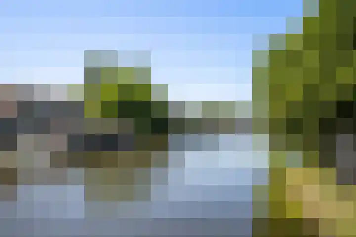 Delftseveerweg 45 C Vlaardingen thumbnail 24