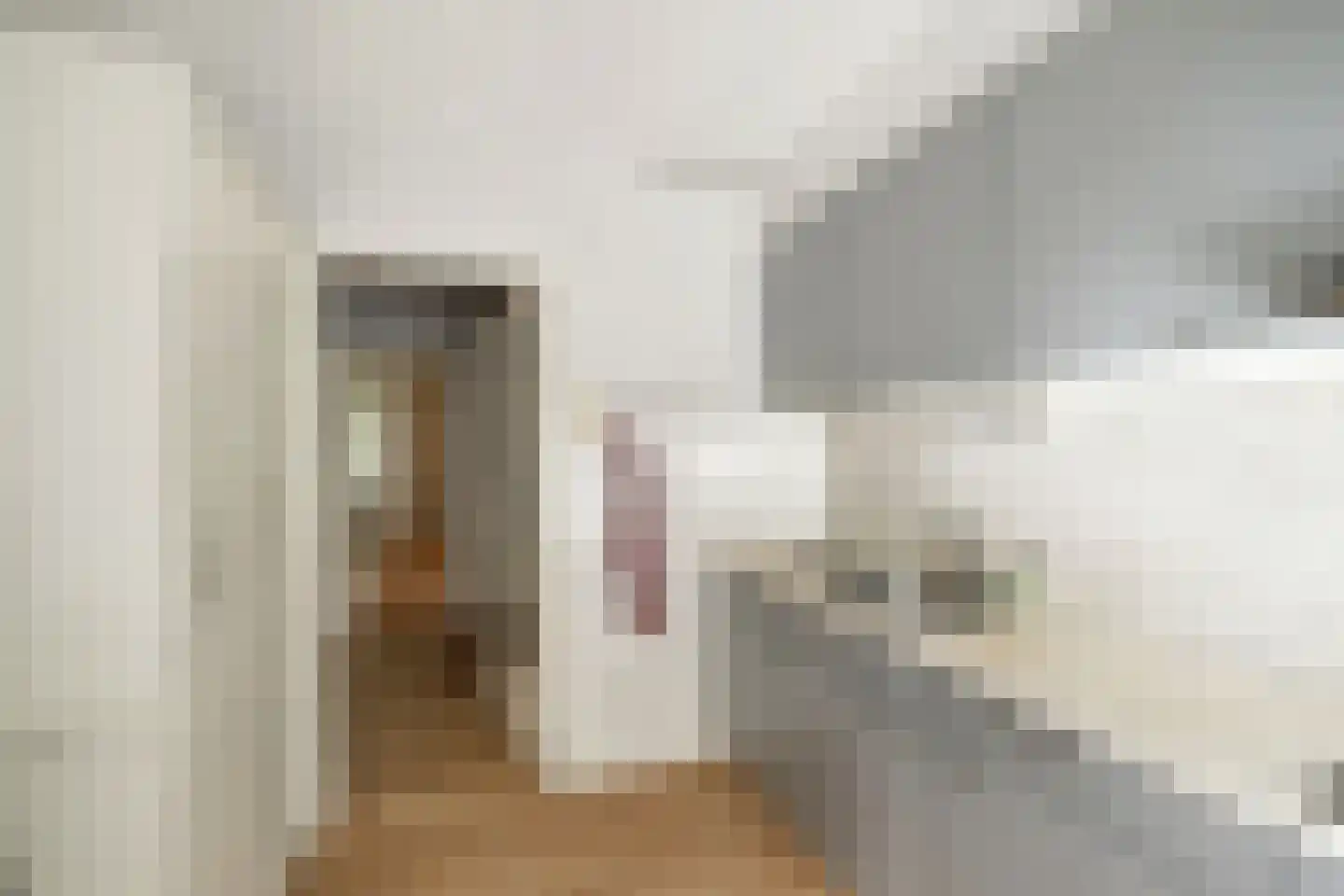 Delftseveerweg 5 A Vlaardingen thumbnail 11