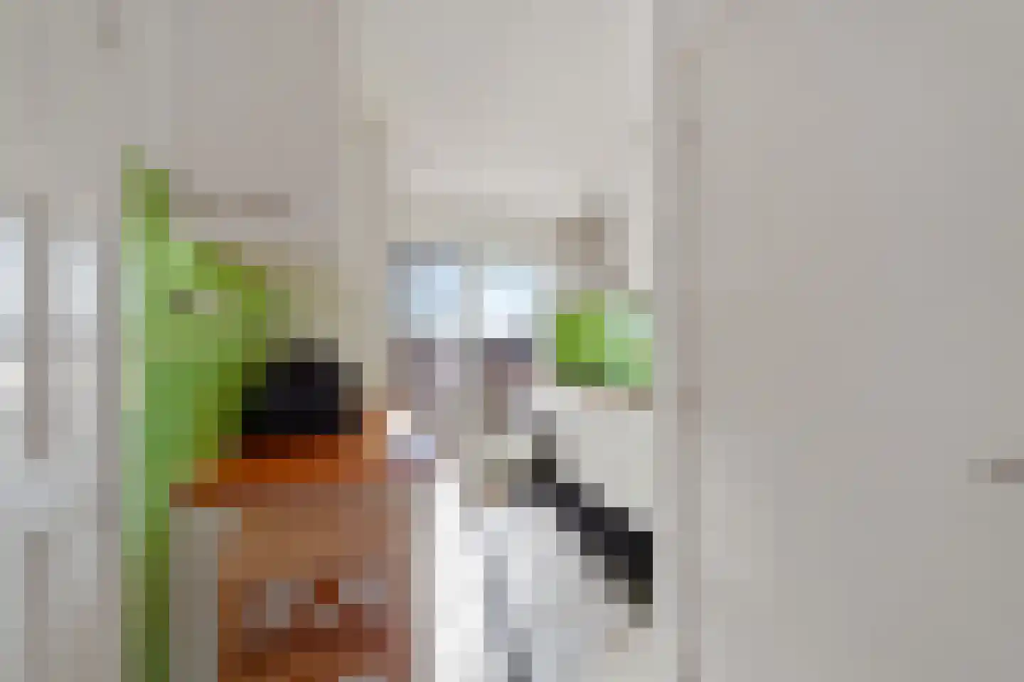 Delftseveerweg 51 D Vlaardingen thumbnail 18