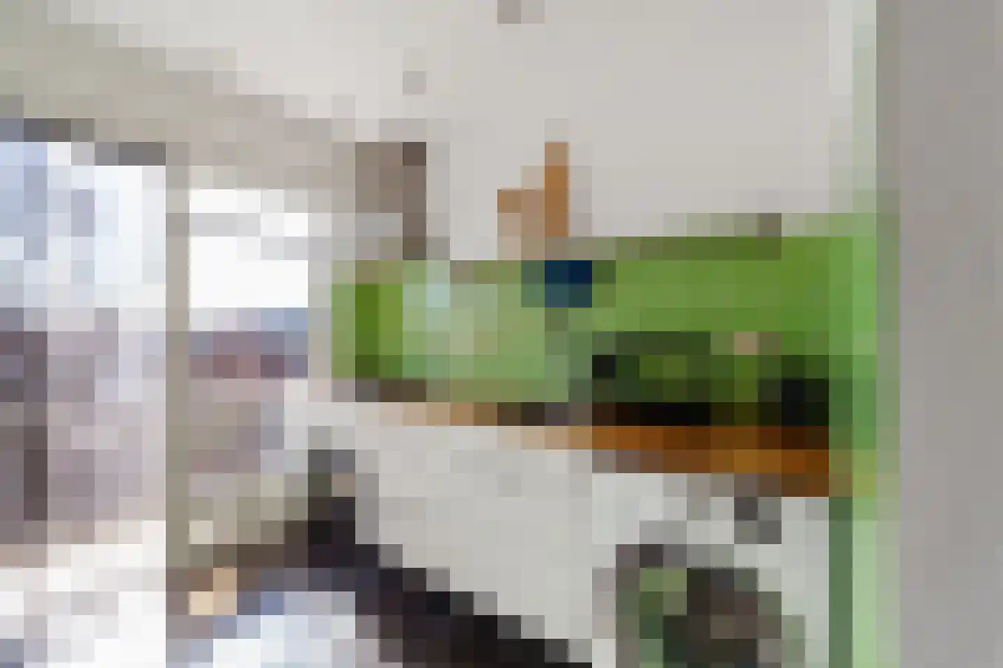 Delftseveerweg 51 D Vlaardingen thumbnail 19