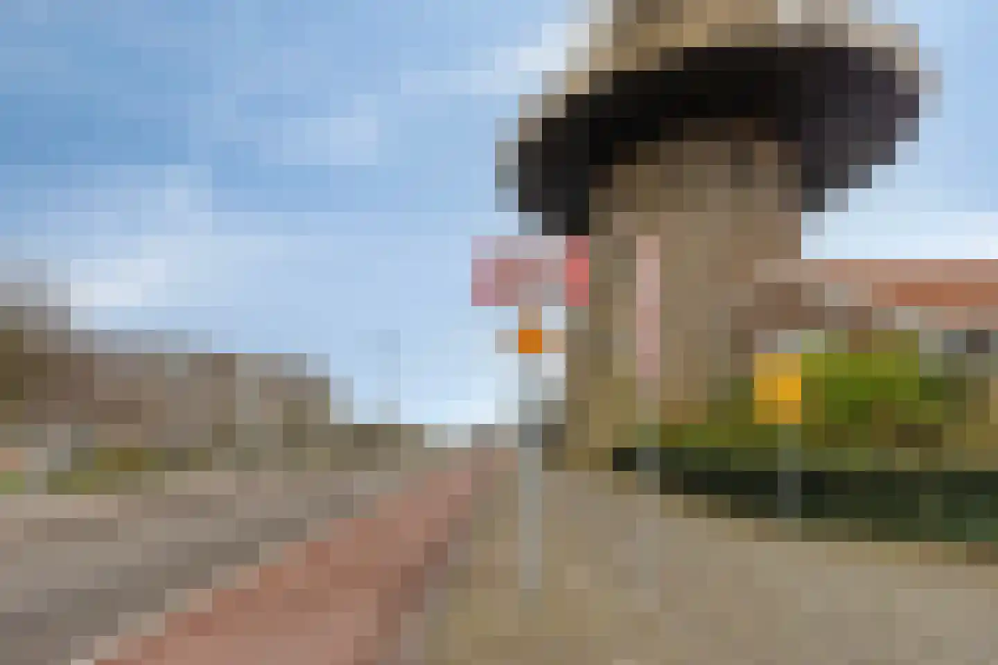 Delftseveerweg 9 A Vlaardingen thumbnail 33