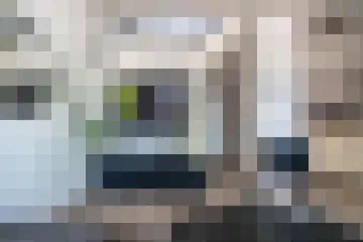 Delftsewallen 31 Zoetermeer thumbnail 10