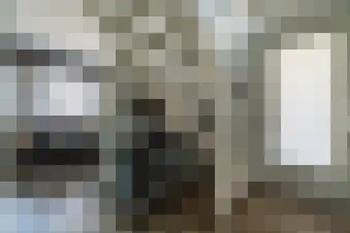 Delftsewallen 31 Zoetermeer thumbnail 11