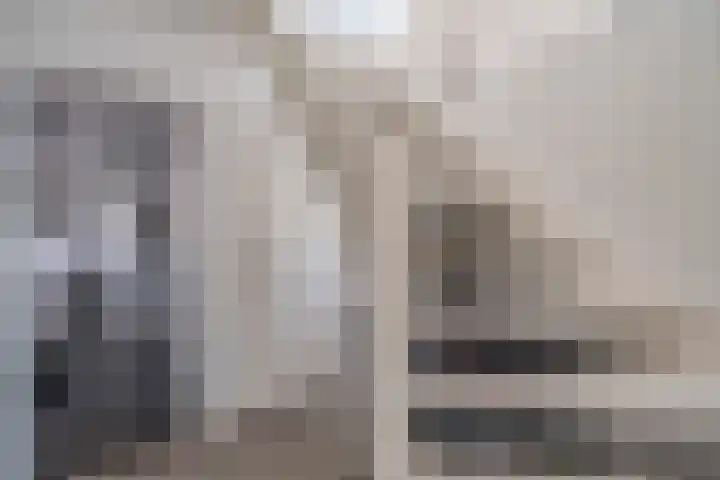 Delftsewallen 31 Zoetermeer thumbnail 12