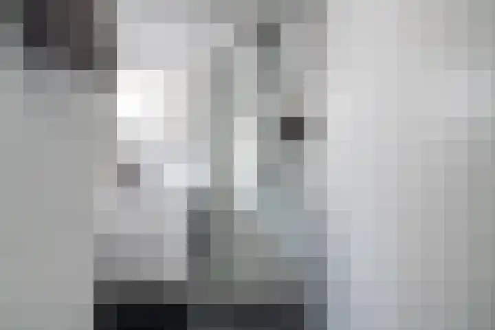 Delftsewallen 31 Zoetermeer thumbnail 13