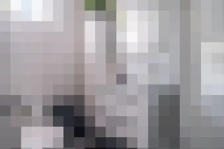 Delftsewallen 31 Zoetermeer thumbnail 14
