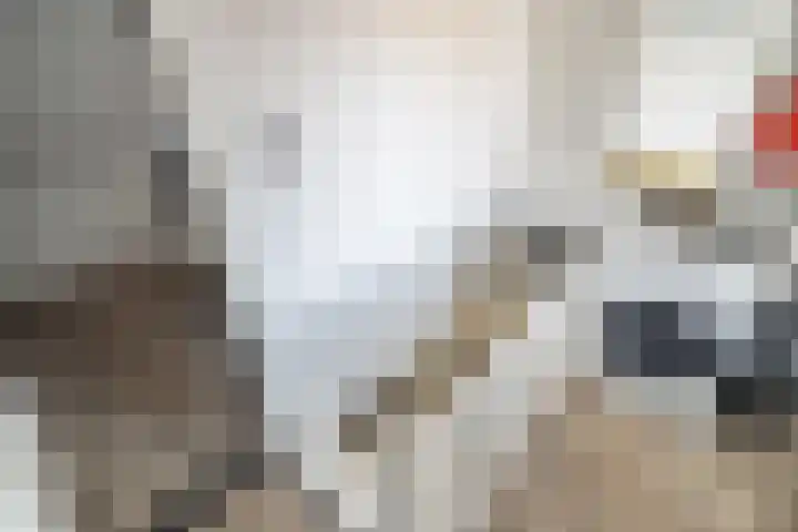 Delftsewallen 31 Zoetermeer thumbnail 17