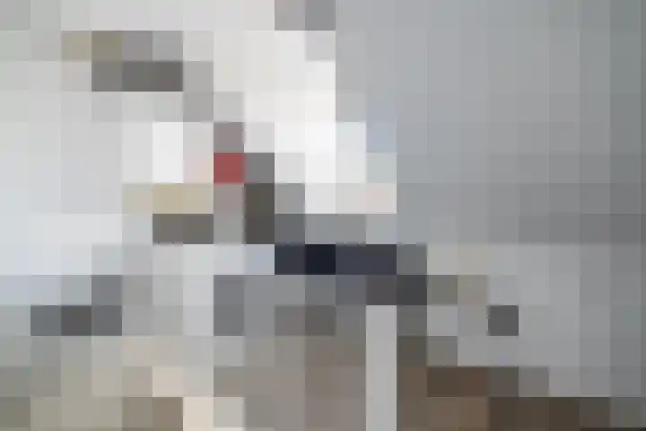 Delftsewallen 31 Zoetermeer thumbnail 18