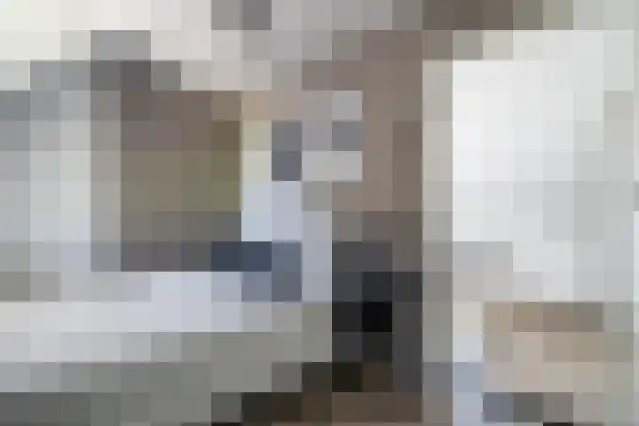 Delftsewallen 31 Zoetermeer thumbnail 23