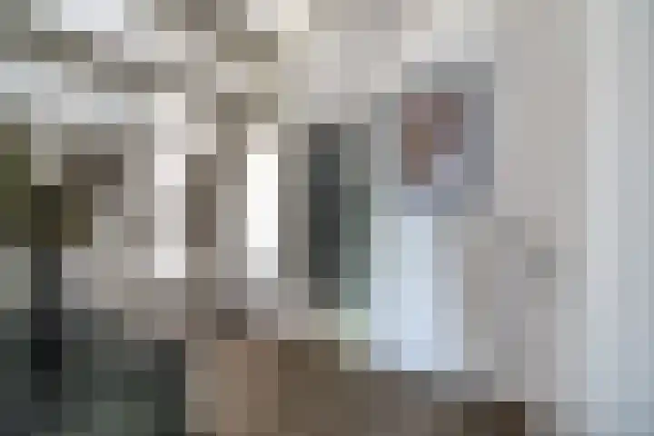 Delftsewallen 31 Zoetermeer thumbnail 24