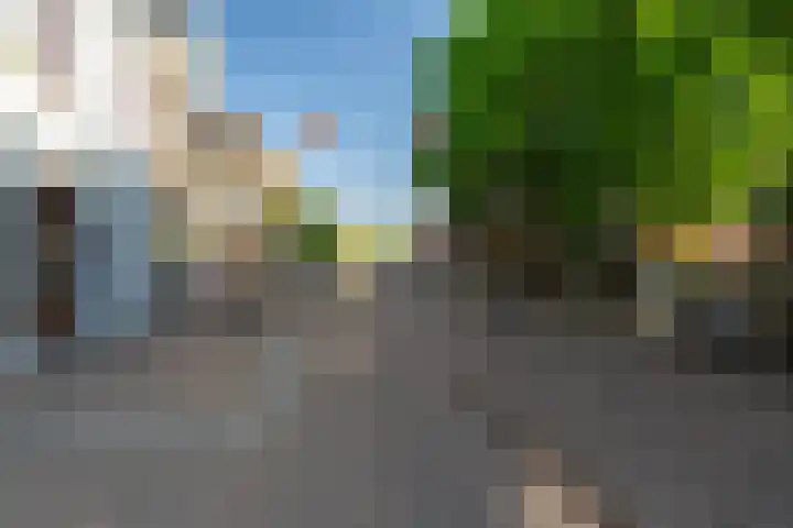 Delftsewallen 31 Zoetermeer thumbnail 30