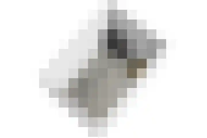 Delftsewallen 31 Zoetermeer thumbnail 36