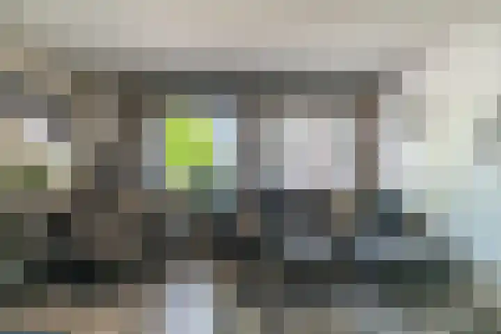 Delftsewallen 31 Zoetermeer thumbnail 37