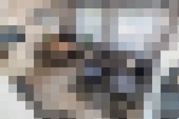 Delftsewallen 31 Zoetermeer thumbnail 4