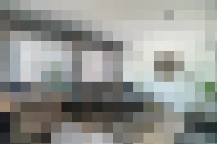 Delftsewallen 31 Zoetermeer thumbnail 6