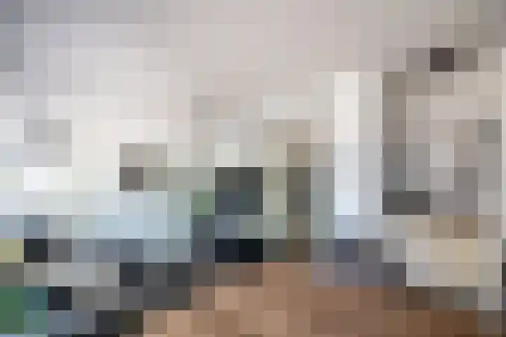 Delftsewallen 31 Zoetermeer thumbnail 9