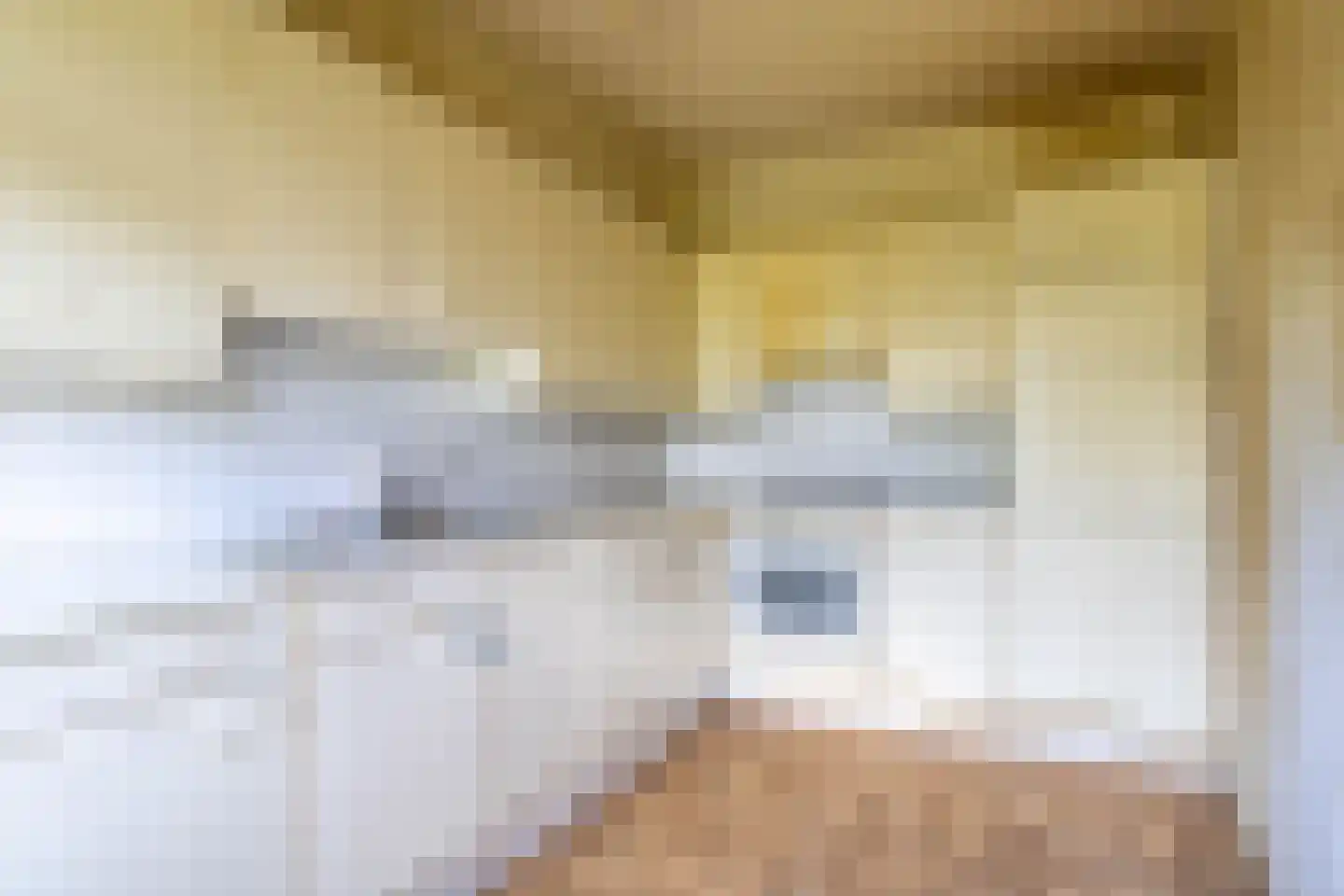 Delftsingel 24 Assendelft thumbnail 11