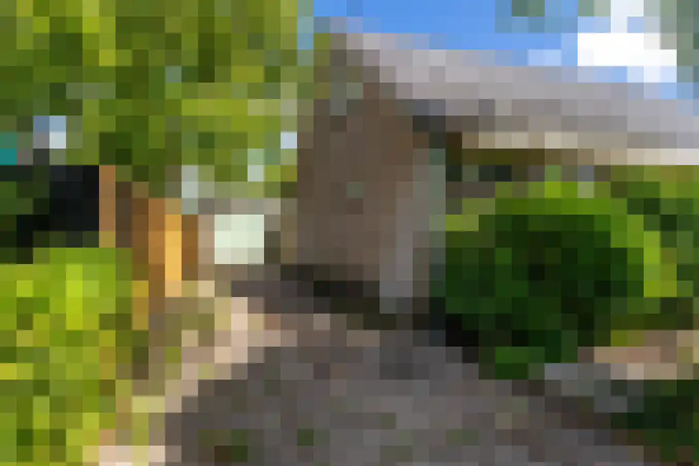 Delftsingel 24 Assendelft thumbnail 4