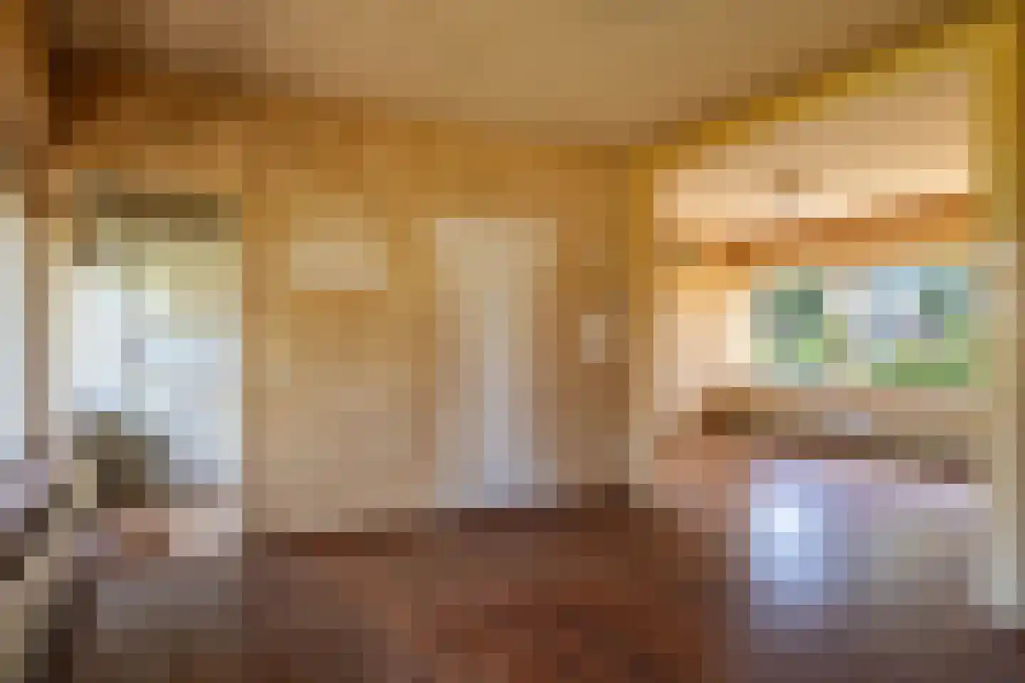 Delftsingel 24 Assendelft thumbnail 5