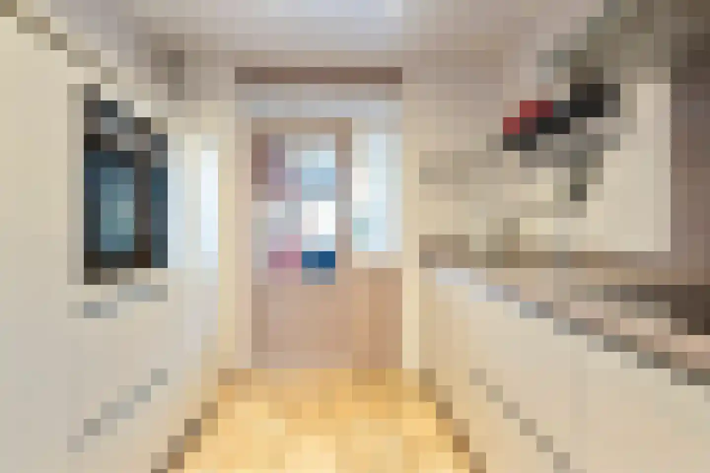 Delftsingel 36 Assendelft thumbnail 15