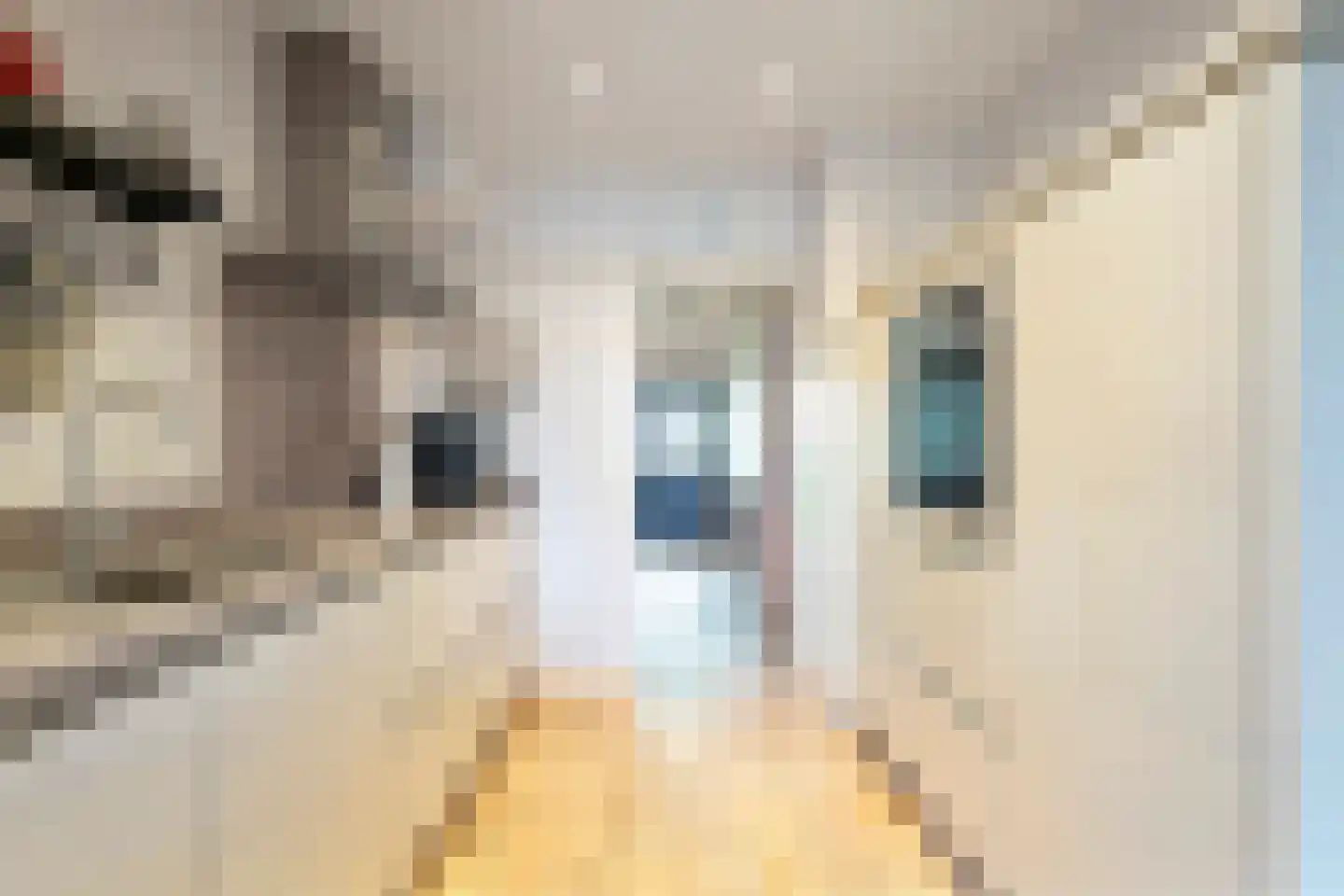Delftsingel 36 Assendelft thumbnail 16