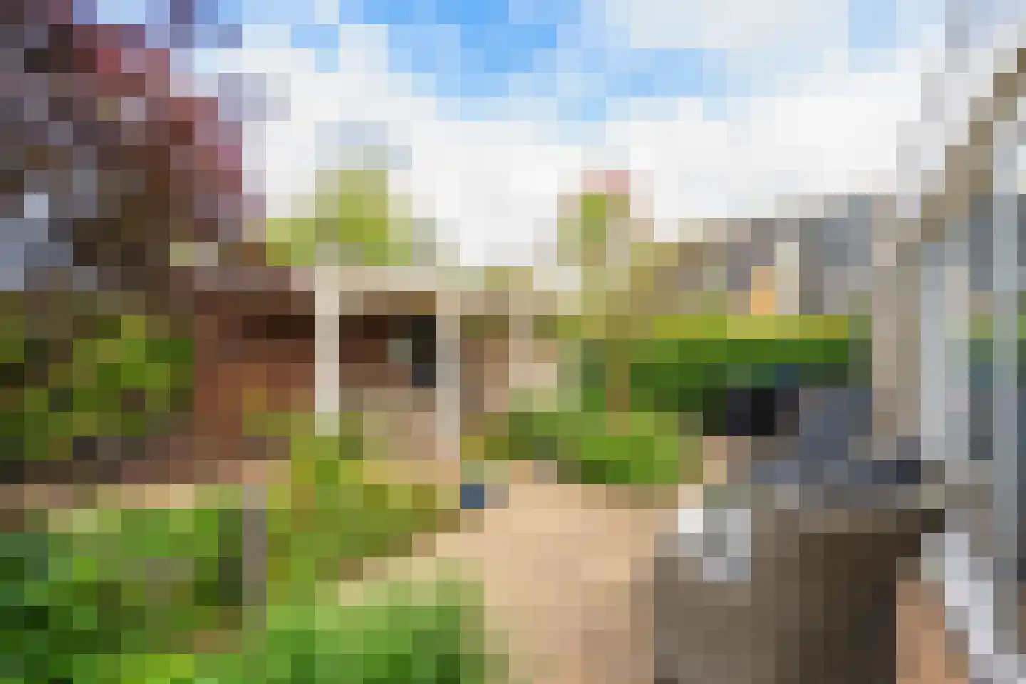 Delftsingel 36 Assendelft thumbnail 26