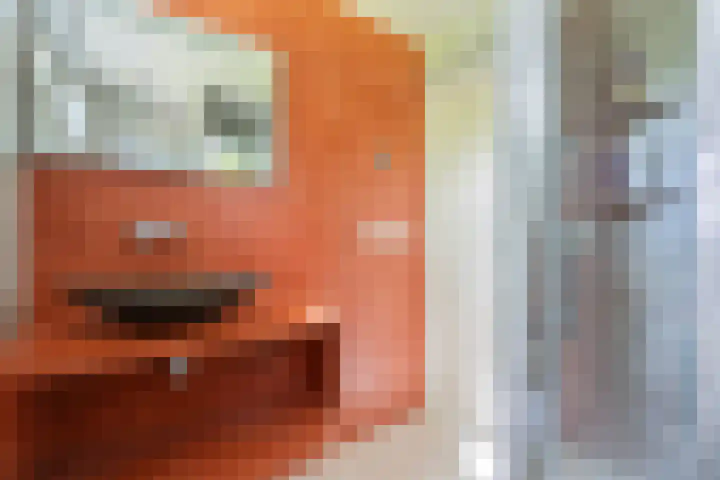 Delftsingel 36 Assendelft thumbnail 41