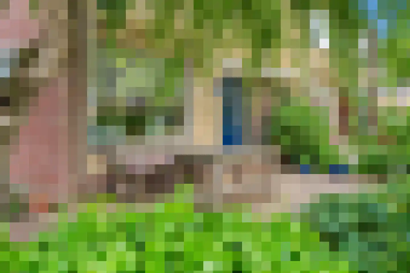 Delftsingel 36 Assendelft thumbnail 50
