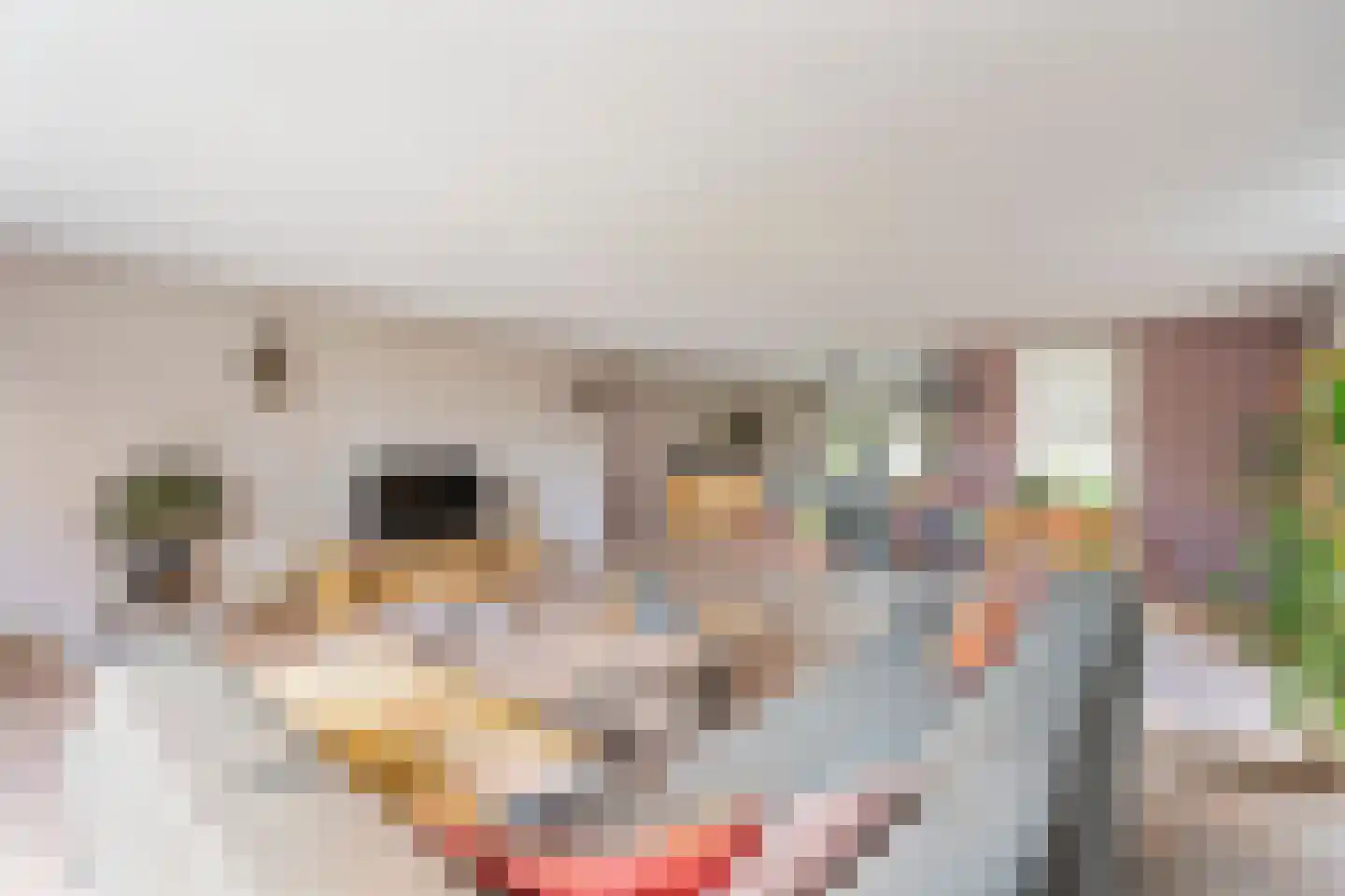 Delftsingel 36 Assendelft thumbnail 6