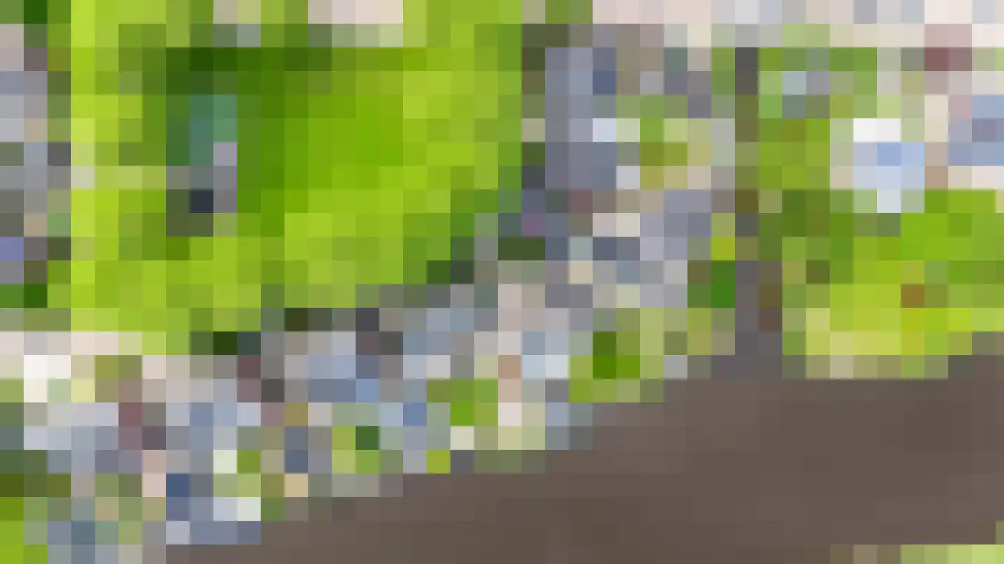 Delftsingel 36 Assendelft thumbnail 60