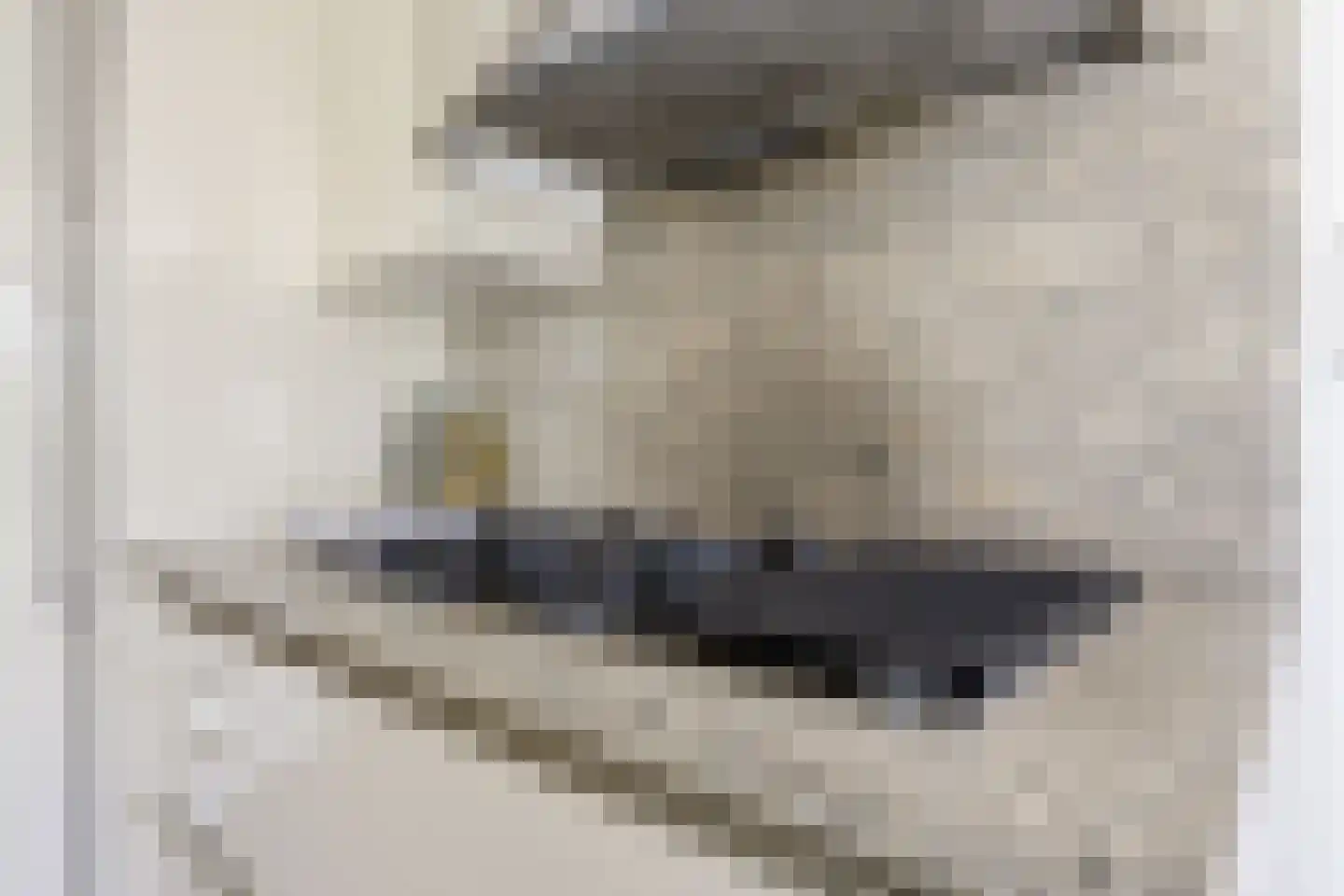 Delftsingel 38 C Assendelft thumbnail 18